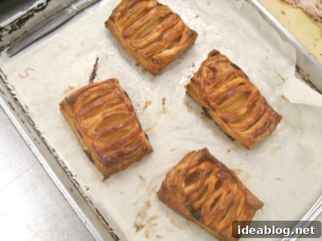 Day 88 Radicchio Salad Ballottine La Jalousie 6 pear puff pastry