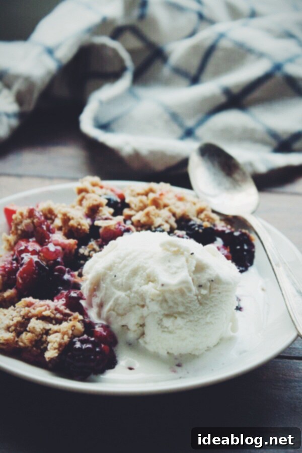 Sour Cherry Crisp with Mixed Berries - this delicious sour cherry crisp recipe is made with a combination of fresh sour cherries, blackberries, and blueberries. Topped with an rolled oat crisp topping, it tastes fantastic served warm with vanilla ice cream! #sourcherry #recipe #crisp #abeautifulplate #dessert Sour Cherry Crisp with Ice Cream