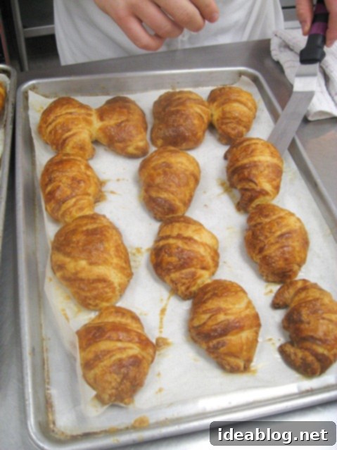 Day 82 Featuring Braised Calamari Moussaka and Gateau Lion D'Or 2 Homemade croissants, golden and flaky, ready to be enjoyed