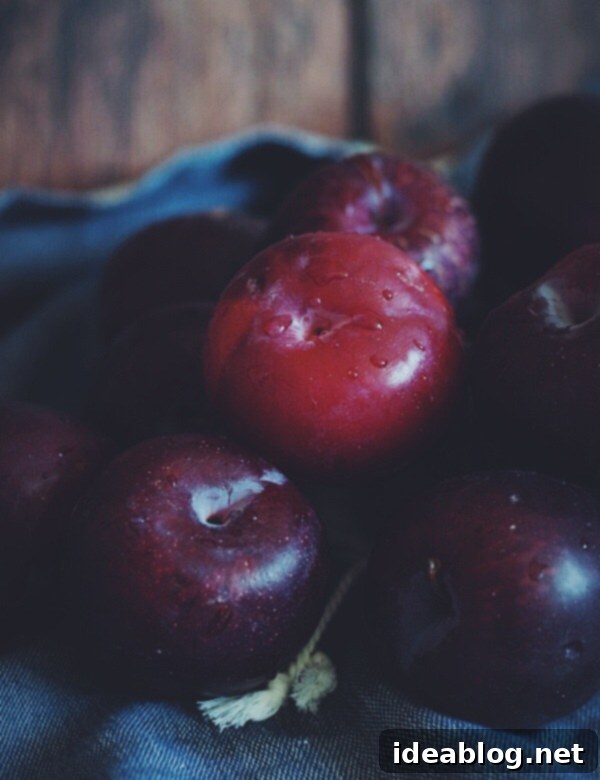 Zingy Plum Ginger Muffins 3 Fresh Plums