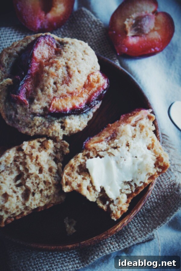Zingy Plum Ginger Muffins 6 Plum Ginger Muffins