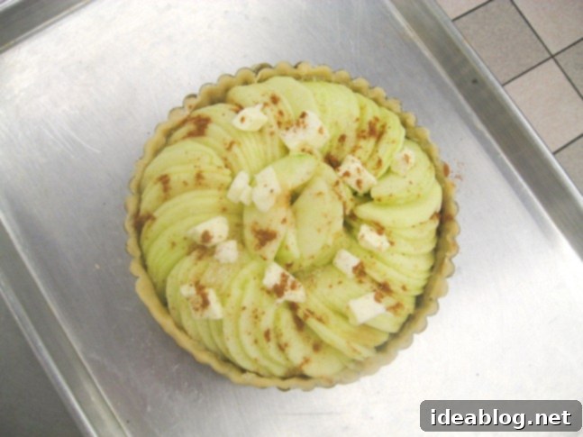 Day 79 and 80: Tuna Tartare, Frog Legs, Veal Cheeks, and Apple Tart 8 Classic French apple tart baked to perfection