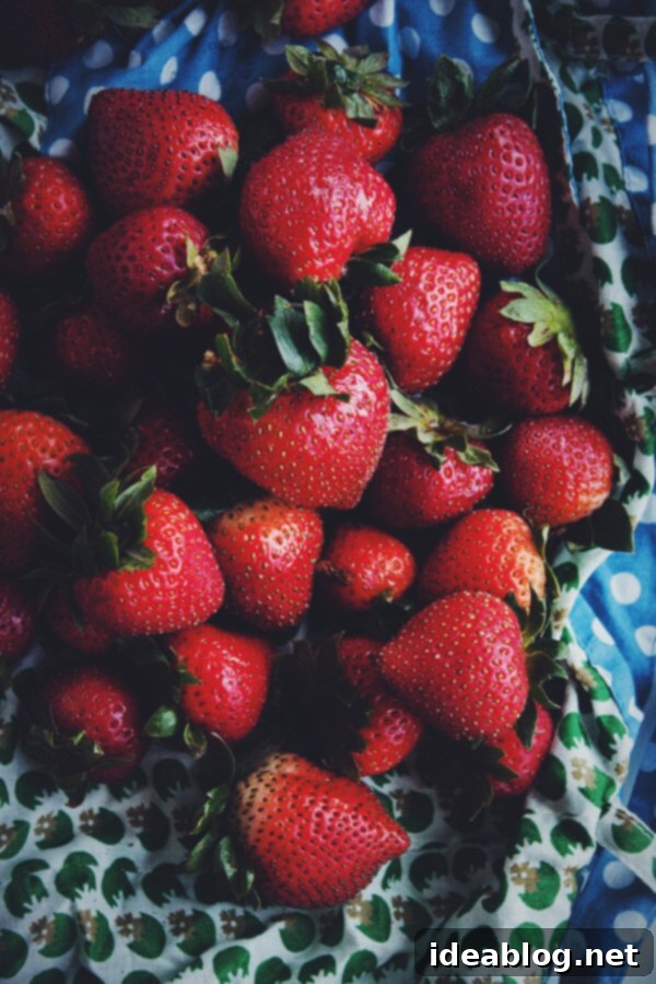 Ruby Shrub Nectar 3 Fresh Strawberries