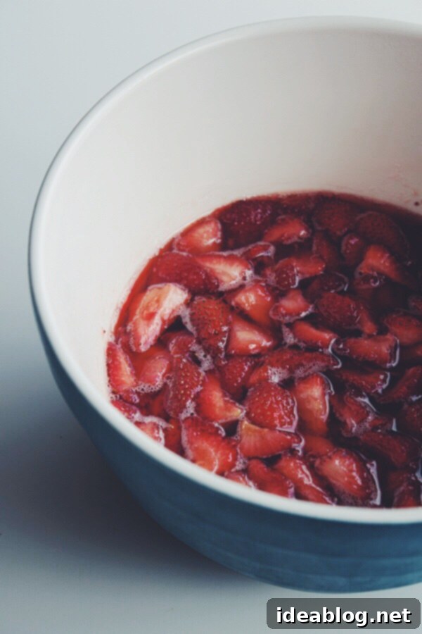 Ruby Shrub Nectar 5 How to Make Strawberry Shrub