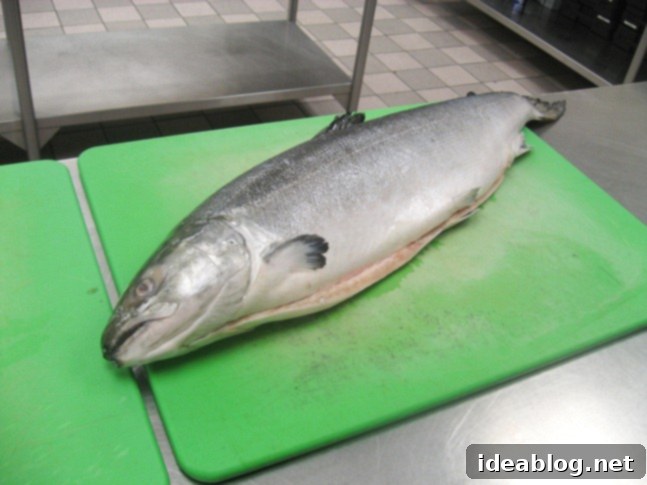 A Culinary Trio for Day 77: Beef Carpaccio, Spatzle, and Crepe Cake 5 whole salmon
