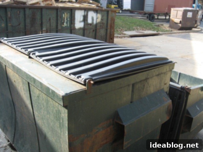 Day 76 A Day Unfiltered 10 dumpster