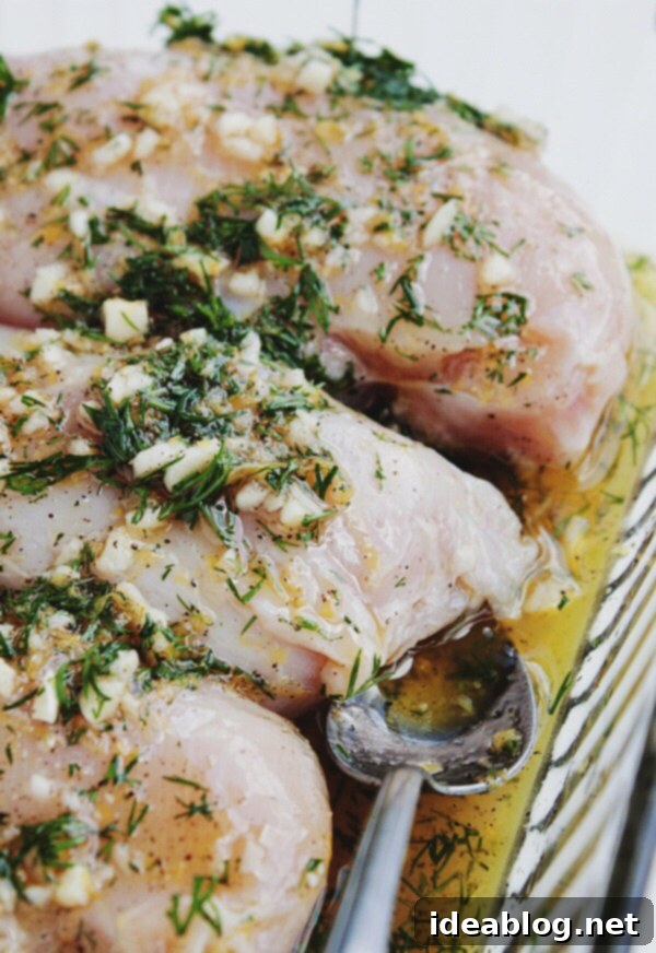 Spiced Feta Chicken Pitas with Cool Tzatziki 5 Marinated Chicken Breasts with Garlic and Dill