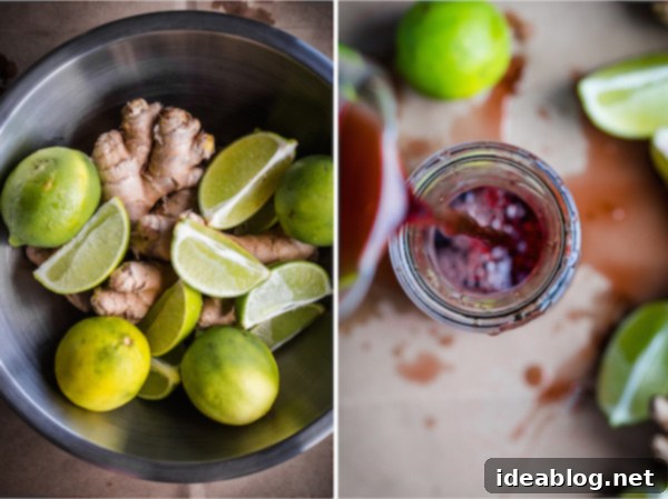 Garnet Ginger Mule 3 Ingredients for Pomegranate Moscow Mule, including Absolut Vodka bottle and lime
