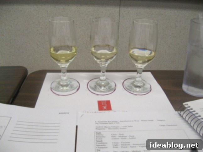 Day 63: A Trio of Seafood, Savory, and Sweet 8 Wine glasses set up for a professional tasting