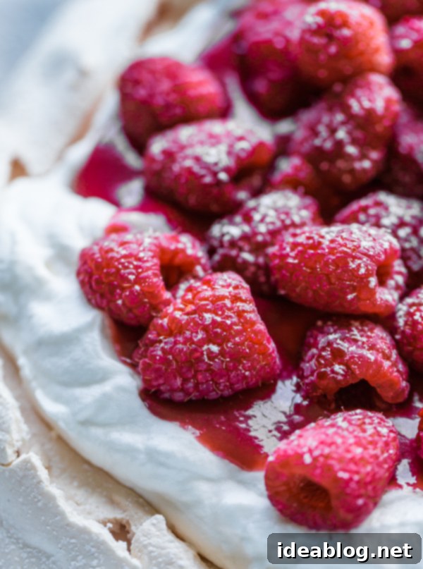 Berry Burst Pavlova with Vanilla Whipped Cream 6 Fresh Raspberries on Pavlova