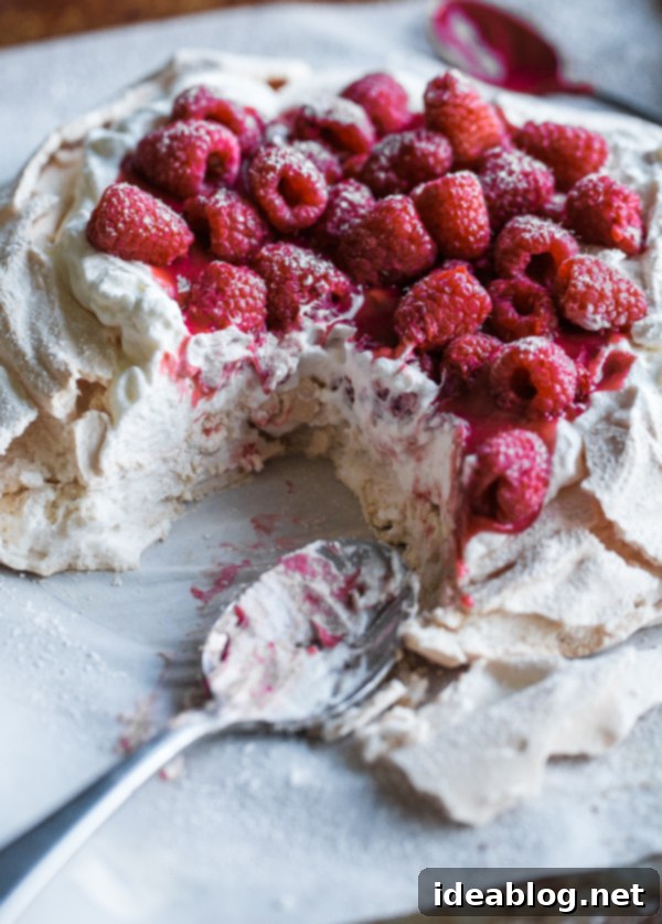 Berry Burst Pavlova with Vanilla Whipped Cream 7 Scooped Raspberry Pavlova