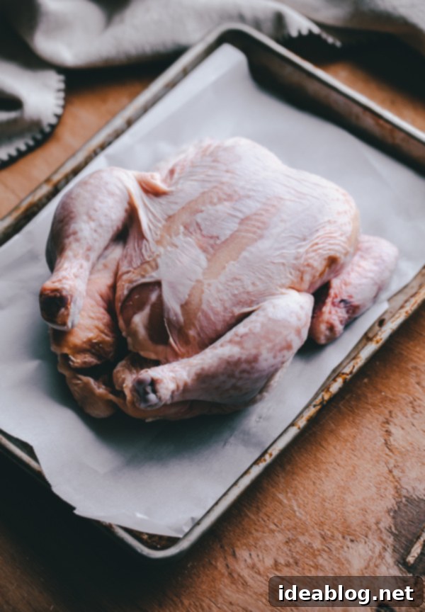 Effortless Herb-Roasted Chicken with Seasonal Vegetables 3 A whole raw chicken, meticulously dried and prepared for roasting, sitting on a baking sheet, ready for seasoning.