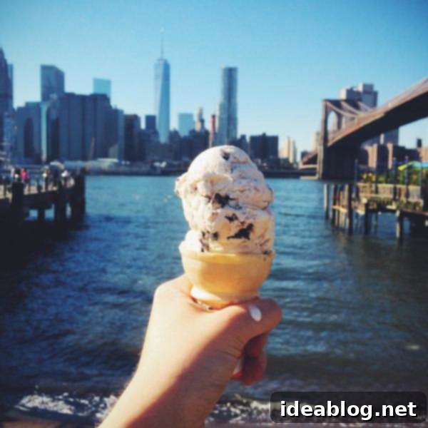 The Fleeting Pulse 11 A classic scoop of vanilla chocolate chunk ice cream from the famous Brooklyn Ice Cream Factory, a sweet treat enjoyed in Dumbo.