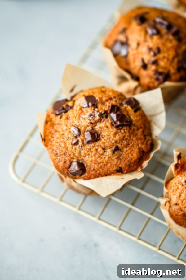 Coffee-Kissed Pumpkin Chocolate Chip Muffins 2 Close-up of freshly baked Pumpkin Chocolate Chip Muffins, drizzled with coffee glaze
