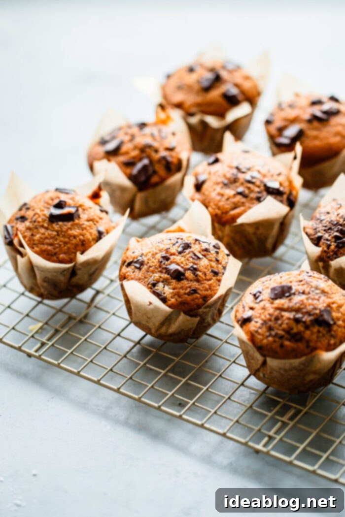 These AMAZING Pumpkin Chocolate Chip Muffins with Coffee Glaze are loved by all! This easy pumpkin muffin recipe is filled with dark chocolate and topped with an easy coffee glaze. #abeautifulplate #pumpkin #muffin #recipe #dessert A stack of Pumpkin Chocolate Chip Muffins with espresso powder and coffee glaze