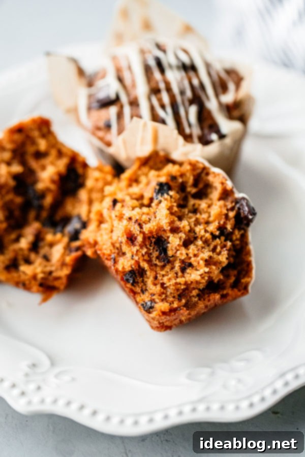 These AMAZING Pumpkin Chocolate Chip Muffins with Coffee Glaze are loved by all! This easy pumpkin muffin recipe is filled with dark chocolate and topped with an easy coffee glaze. #abeautifulplate #pumpkin #muffin #recipe #dessert A Pumpkin Chocolate Chip Muffin cut in half, showing the moist interior and chocolate chunks