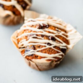 Coffee-Kissed Pumpkin Chocolate Chip Muffins 6 Pumpkin Chocolate Chip Muffins with Coffee Glaze Drizzle