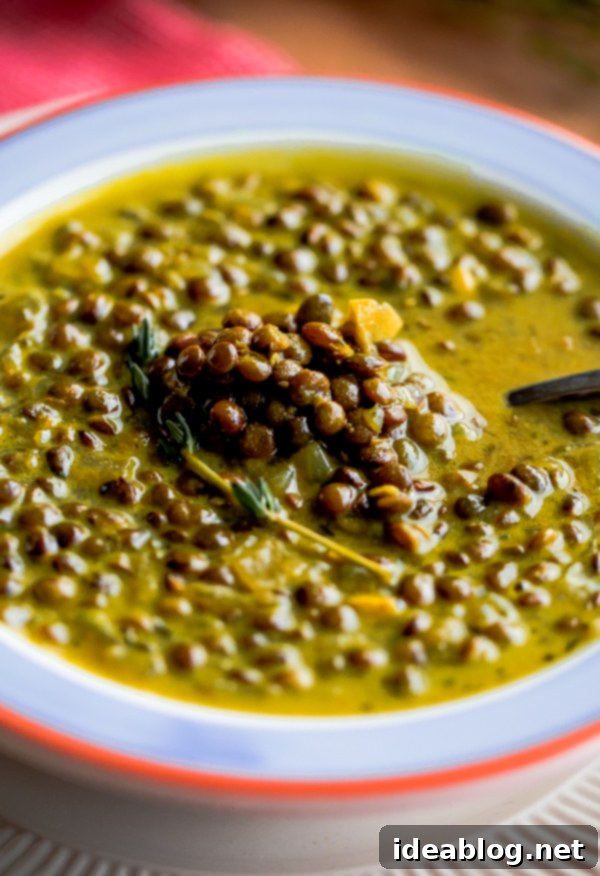 Green Lentil Soup with Coconut Milk and Indian Spices. This amazing lentil soup is bursting with rich and bold flavors from ground spices, coconut milk, and ghee! #glutenfree #soup #lentils #lentilsoup #abeautifulplate #recipe Green Lentil Soup with Coconut Milk