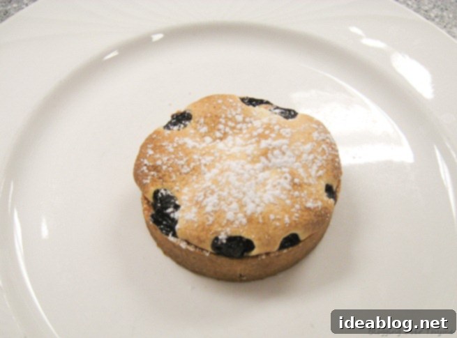 Fifty Days of Flavor: Rockfish, Risotto, and Blueberry Delights 4 blueberry tart