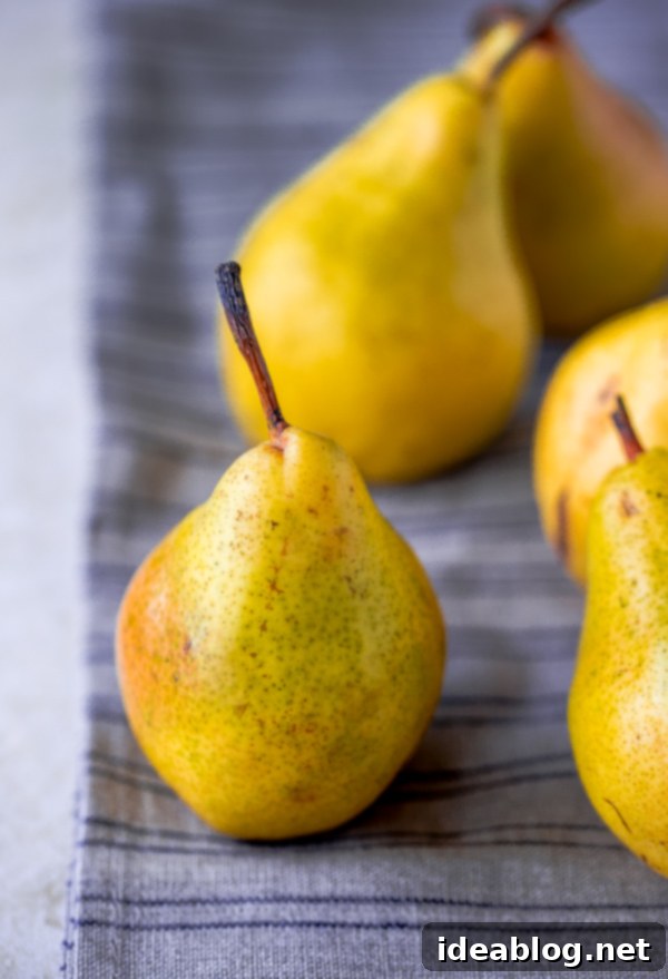 Zesty Vanilla Pear Delight 3 Bartlett Pears