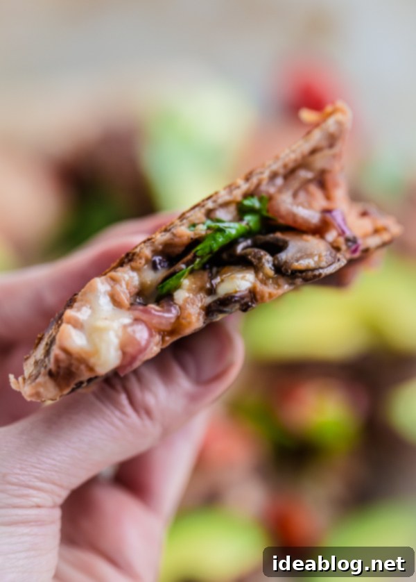 Quick Garden Quesadillas 7 Weeknight Veggie Quesadillas