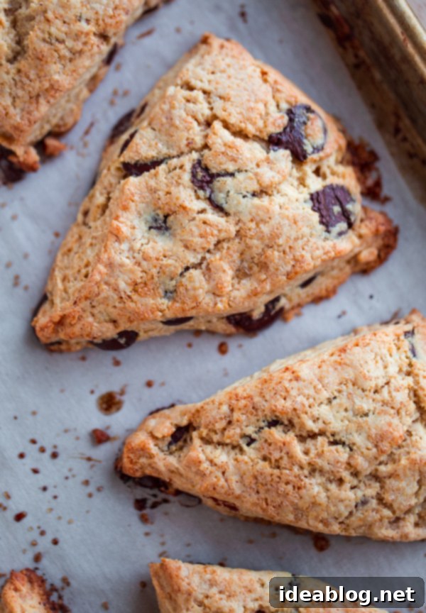 Toasted Butter Chocolate Chip Scones 2 Flaky, homemade Brown Butter Chocolate Chip Scones infused with brown butter and topped with a brown butter glaze. Perfect for breakfast, brunch, or an anytime sweet treat!