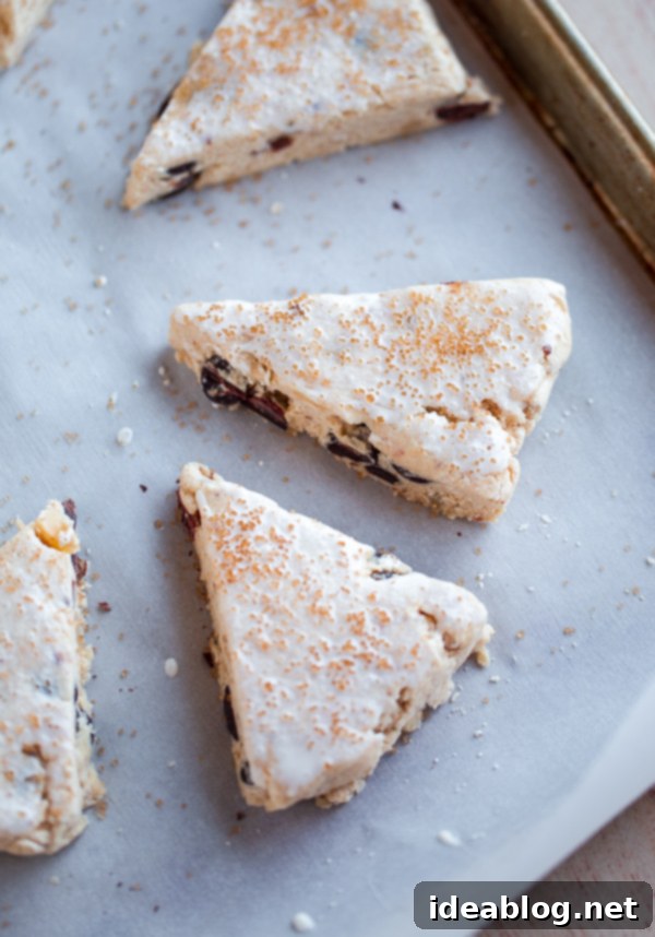 Toasted Butter Chocolate Chip Scones 4 A sliced Brown Butter Chocolate Chip Scone revealing its tender, moist interior and abundance of chocolate chips.