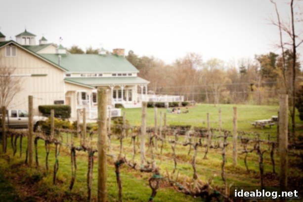 Charlottesville Awaits: Our Scenic Drive 14 veritas winery view