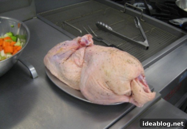 Mastering Roasted Duck & Court Bouillon: Practical Exam 3 (Days 45 & 46) 2 whole duck prepared for roasting