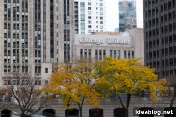 Aeolian Metropolis 12 The Windy City | bloggingoverthyme.com