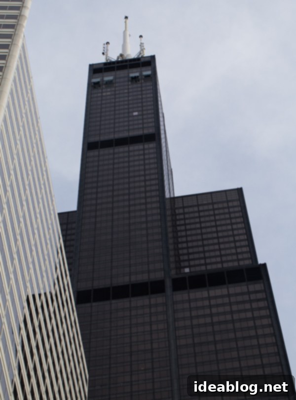 Aeolian Metropolis 6 Willis Tower