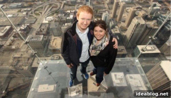 Aeolian Metropolis 7 Willis Tower Chicago