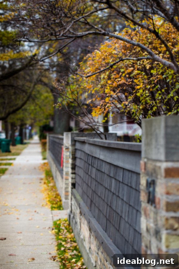 Second Wind in the Metropolis 2 Oak Park Chicago street view with autumn trees