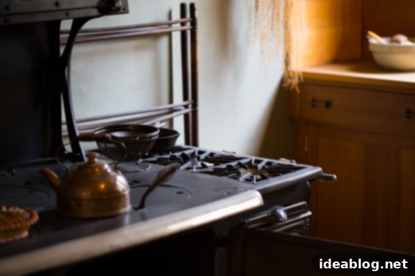Second Wind in the Metropolis 12 Frank Lloyd Wright Home & Studio interior - kitchen