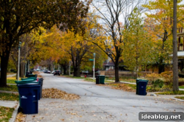 Second Wind in the Metropolis 14 Oak Park, Chicago residential street