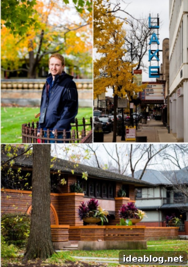 Second Wind in the Metropolis 15 Oak Park, Chicago historic home
