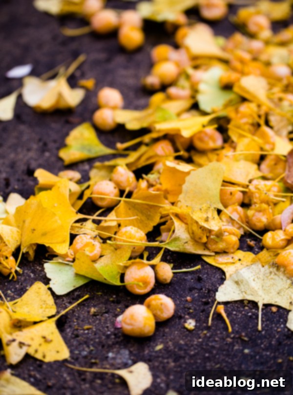 Second Wind in the Metropolis 16 Oak Park, Chicago autumn leaves and houses