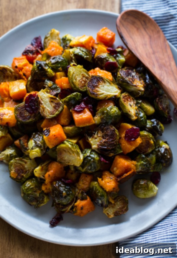 Roasted Brussels Sprouts and Squash with Dried Cranberries and Dijon Vinaigrette. This colorful Thanksgiving side dish recipe is easy and loved by all! #thanksgiving #vegetarian #sidedish #fall #holiday #recipe #abeautifulplate #squash #brusselssprouts Roasted Brussels Sprouts and Squash with Dried Cranberries and Dijon Vinaigrette