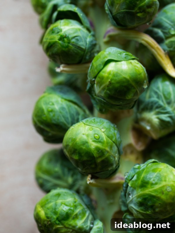 Zesty Chili Brussels Sprout Crisps 3 Fried Brussels Sprout Leaves with Lemon & Chili Flakes. The perfect crispy snack!