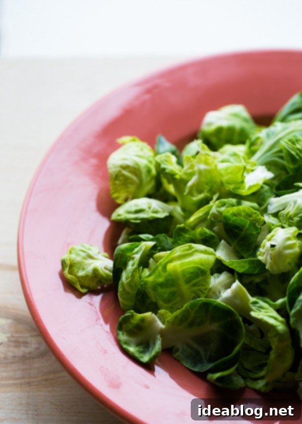 Zesty Chili Brussels Sprout Crisps 4 Fried Brussels Sprout Leaves with Lemon & Chili Flakes. The perfect crispy snack!