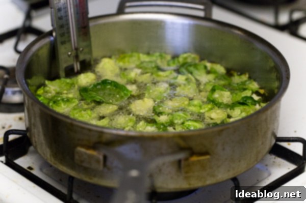 Zesty Chili Brussels Sprout Crisps 5 Fried Brussels Sprout Leaves with Lemon & Chili Flakes. The perfect crispy snack!