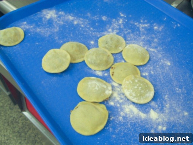 Day 42: A Culinary Journey of Savory and Sweet 7 Homemade mushroom ravioli before cooking