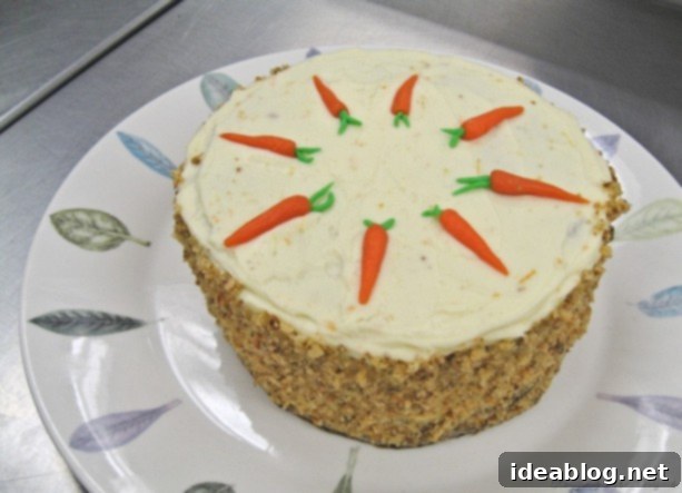 Seafood, Snails, and Sweetness 2 carrot cake