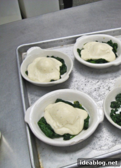 Day 37 Brining Soft-Boiled Eggs and Cheesecake Creations 5 florentine