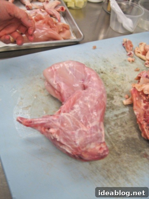 Day 36: Succulent Rabbit, Velvety Chicken Mousse, Tiramisu 3 rabbit meat