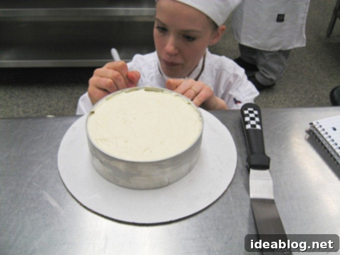 Day 36: Succulent Rabbit, Velvety Chicken Mousse, Tiramisu 8 cheesecake2