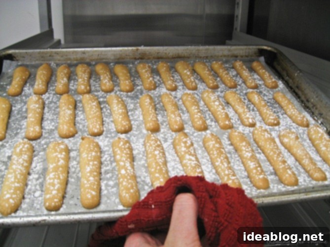 Day 35: Braised Lamb Shanks, Gnocchi, & Chocolate Mousse 8 ladyfingers drying on rack