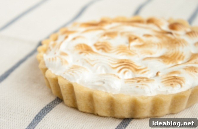 Golden Meyer Lemon Tarts 5 Lemon Tart Topped with Toasted Meringue