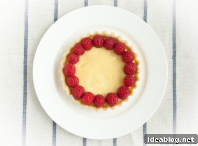 Golden Meyer Lemon Tarts 6 Meyer Lemon Tart with Raspberries