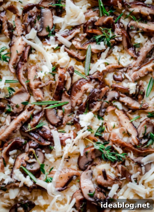 Mushroom Pizza with Havarti Cheese, Fresh, Herbs, and Truffle Oil Mushroom Pizza with Havarti Cheese, Fresh, Herbs, and Truffle Oil